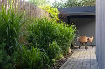 a patio with a chair and some plants at Pine house in Zujūnai
