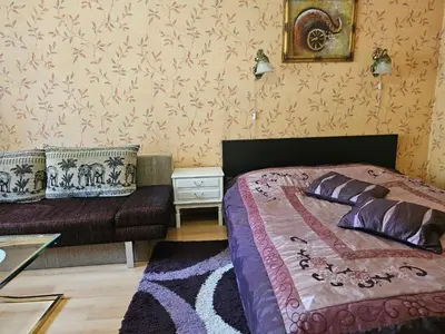 a bedroom with a bed and a couch in it at Vieno kambario butas su balkonu in Kaunas