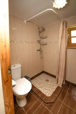 a bathroom with a toilet and a shower at Namelis ant kranto - Alaušo Salos in Sudeikiai