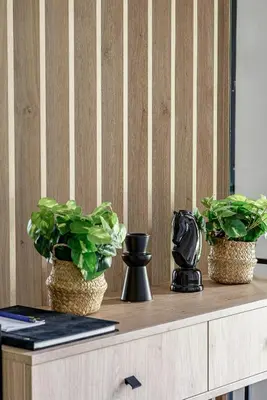 three potted plants sitting on top of a counter at Miško Spa namas in Molėtai