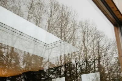 a view of trees through a glass window at Atokampis Boutique SPA & Resort in Anglininkai