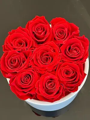 a bouquet of red roses in a white bowl at New luxury apartment & free parking in Vilnius