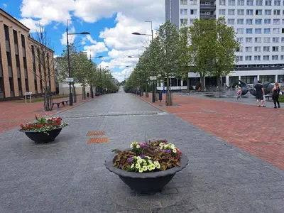 a city street with two pots of flowers on the sidewalk at Sweet home in Šiauliai