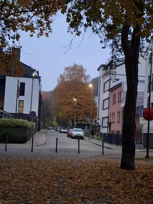 a street with a tree and a car on the road at Maple Park Apartment in Kaunas