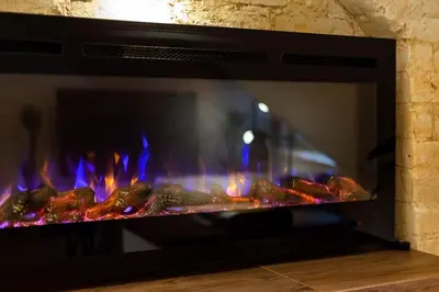 a fireplace with blue flames and meat in it at Luxury apartment in Gedimino av. in Vilnius