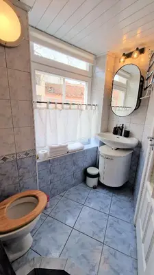 a bathroom with a toilet and a sink and a mirror at Rudi4 Luxury Vilnius Apartment in Vilnius