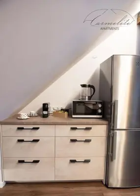 a kitchen with a microwave and a refrigerator at Spacious sky Carmelite apartment in Vilnius