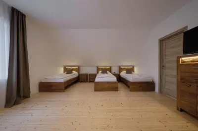 a room with three beds and a flat screen tv at Jonavos alpakų svečių namai in Jonava