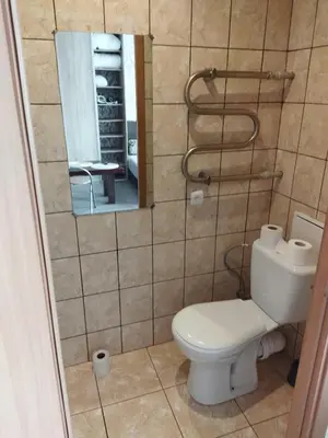 a bathroom with a toilet and a mirror at Itaja apartment 50 in Šiauliai