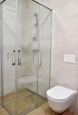 a bathroom with a shower and a toilet at Parko Aveniu Apartamentai B4 in Birštonas