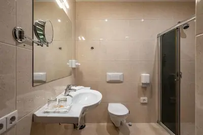 a bathroom with a sink and a toilet and a shower at Hotel Sfinksas in Kaunas