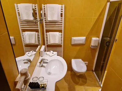 a bathroom with a sink and a toilet at Hotel Sfinksas in Kaunas