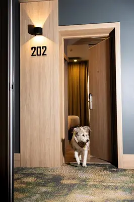a dog standing in the doorway of a room at CONTI HOTEL VILNIUS, Conference Centre, Restaurant & Bar in Vilnius