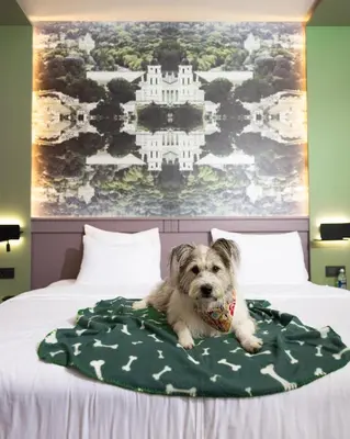 a dog laying on top of a bed at CONTI HOTEL VILNIUS, Conference Centre, Restaurant & Bar in Vilnius