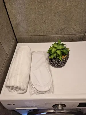 a plant and a glass vase on top of a box at MilaAna in Visaginas