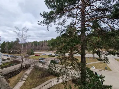 a view of a park with a tree and a street at MilaAna in Visaginas