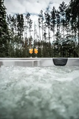 a bath tub filled with water with trees in the background at Namas MIŠKE in Lazdinė
