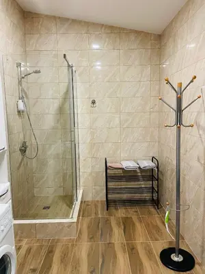 a bathroom with a shower and a sink and a toilet at Alvydo apartamentai in Kaunas
