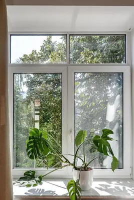 a window with a potted plant in front of it at Spacious City Centre Apartment with Parking SELF CHECK-IN in Vilnius