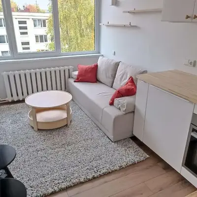 Stylish Studio in Central Vilnius II