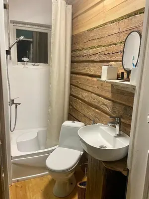 a bathroom with a white toilet and a sink at Holiday homestead Camp of Forest Souls in Masališkės