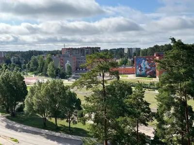 a view of a park with trees and buildings at Pine Apartment in Visaginas