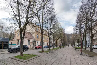 a street with trees and cars on a city street at Freedom Avenue Apartment by Polo apartments in Kaunas