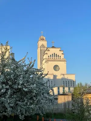 a tall building with a tree in front of it at Center stay Kaunas - Peledyne - Owl's nest apartments in Kaunas
