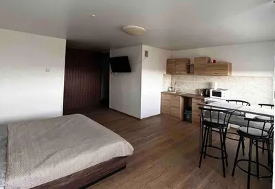 a bedroom with a bed and a kitchen with a table at Studio Apartment with Lake View in Visaginas