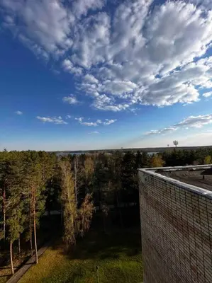 an overhead view of a park with trees and a building at Studio Apartment with Lake View in Visaginas