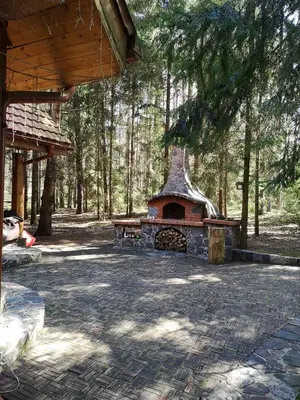 a brick patio with a fireplace in a forest at Antalieptės sodyba in Baibiai