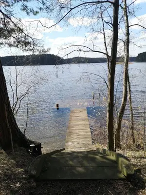 a wooden dock on a body of water at Antalieptės sodyba in Baibiai