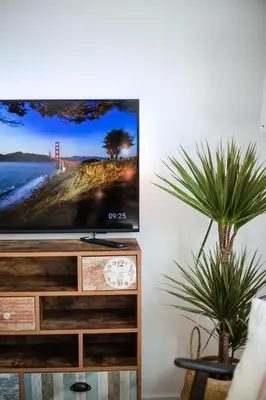 a tv sitting on top of a dresser with a plant at #stayhere - Modern & Central 2 Bedroom Apartment in Vilnius