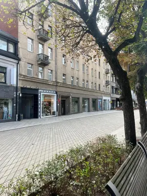 a tree sitting next to a bench in front of a building at Arena apartment in Kaunas