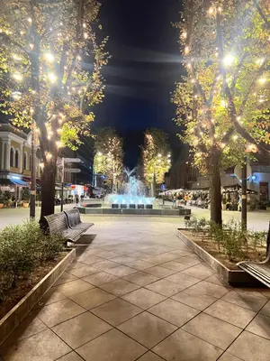 a park with trees and a fountain at night at Arena apartment in Kaunas