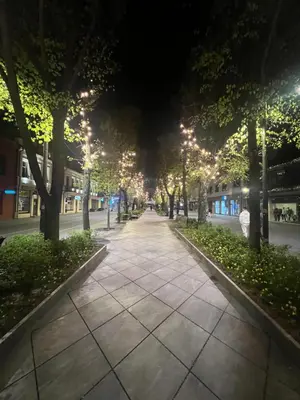 a street at night with trees and lights at Arena apartment in Kaunas
