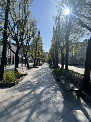 a park with benches and trees on a sidewalk at Arena apartment in Kaunas
