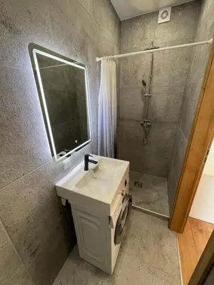 a bathroom with a sink and a shower and a mirror at 29 Airport Apartment in Vilnius