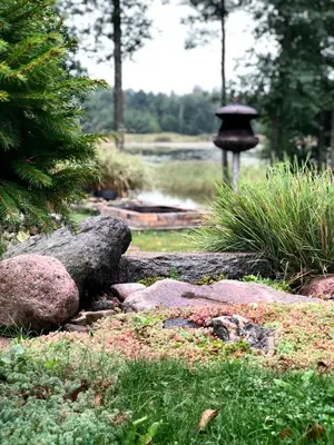 a garden with a bird bath in the background at Sodyba Paukščių Takas in Aviliai