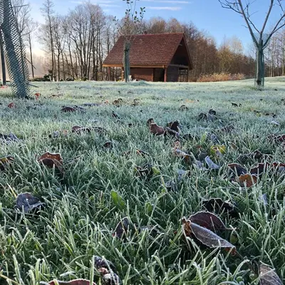 a field full of grass with a building in the background at Sodyba Paukščių Takas in Aviliai